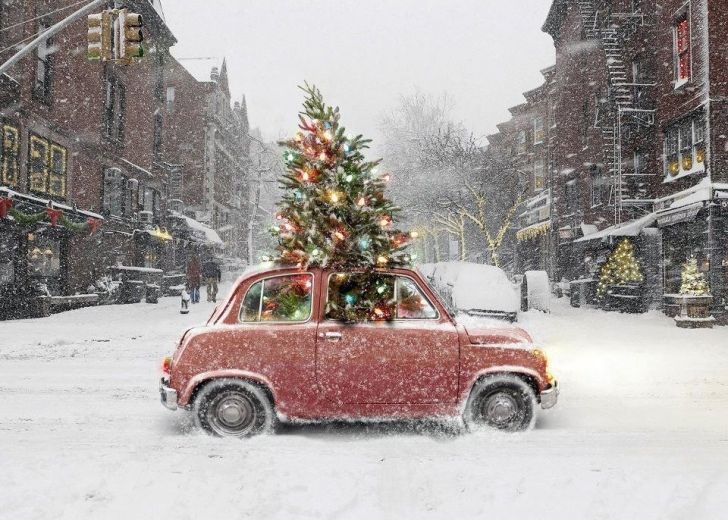 Carro pequeno inglês com árvore de Natal enorme saindo pelo teto solar