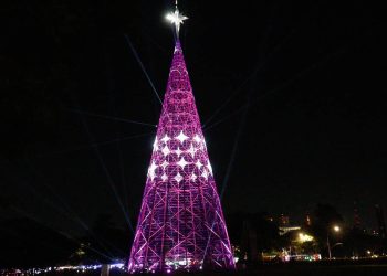 Árvore de Natal do Parque do Ibirapuera em São Paulo (Foto: folha.uol.com.br)