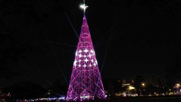 Árvore de Natal do Parque do Ibirapuera em São Paulo (Foto: folha.uol.com.br)