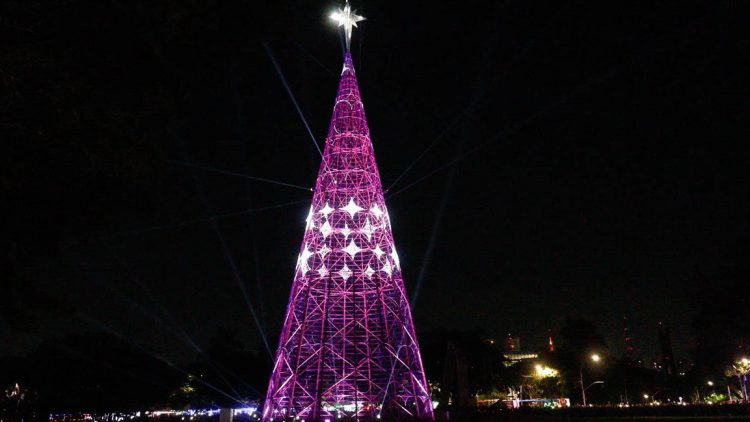 Árvores de Natal no Parque do Ibirapuera em São Paulo (Foto: guia.folha.uol.com.br)