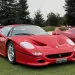 Ferrari F50 (Todas as fotos: divulgação CARDE)