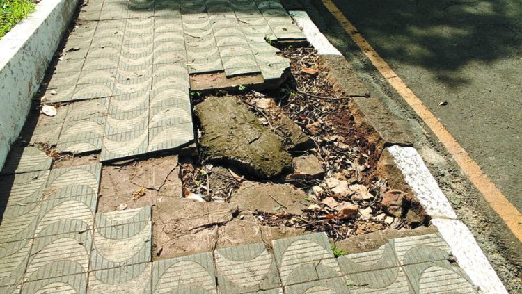 Calçda em São Paulo (Foto> Henrique Lima)