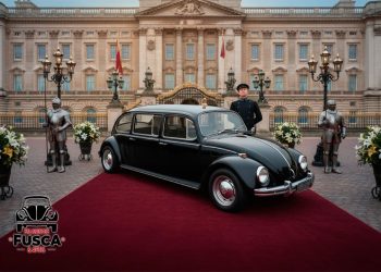 Criação do autor através da Gemini IA