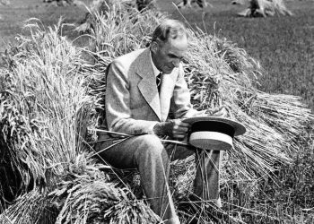 Fotos: Divulgação Ford