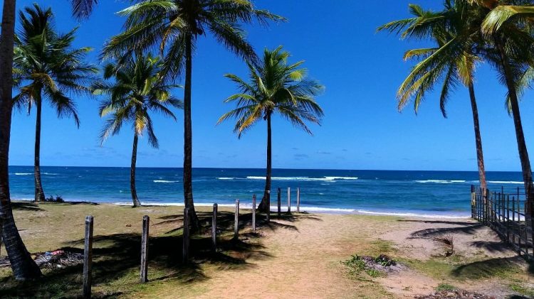 Praia de Barra Grande, na Bahia (Foto: tripadvisor.com.br)