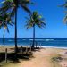 Praia de Barra Grande, na Bahia (Foto: tripadvisor.com.br)