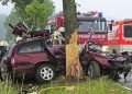 Colisão fatal em árvore (Foto: Divulgação Dekkra)