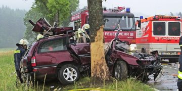 Colisão fatal em árvore (Foto: Divulgação Dekkra)