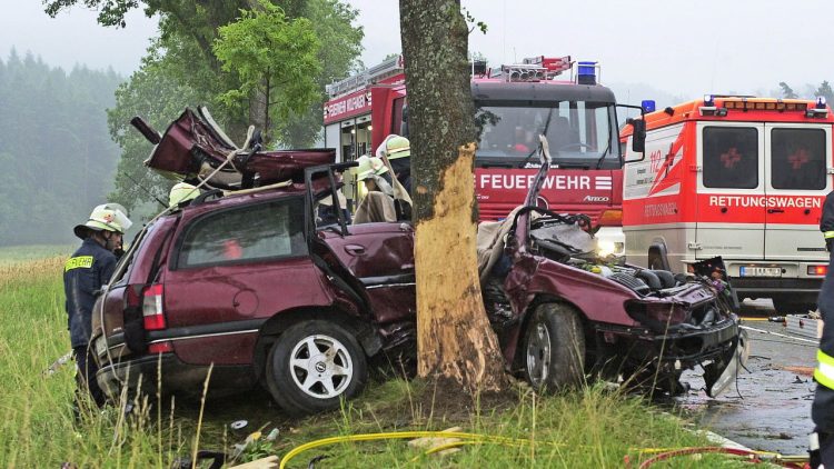 Colisão fatal em árvore (Foto: Divulgação Dekkra)