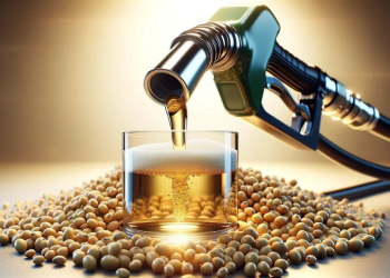 Mais soja para o diesel B25 (Foto: canalpecuarista.com.br