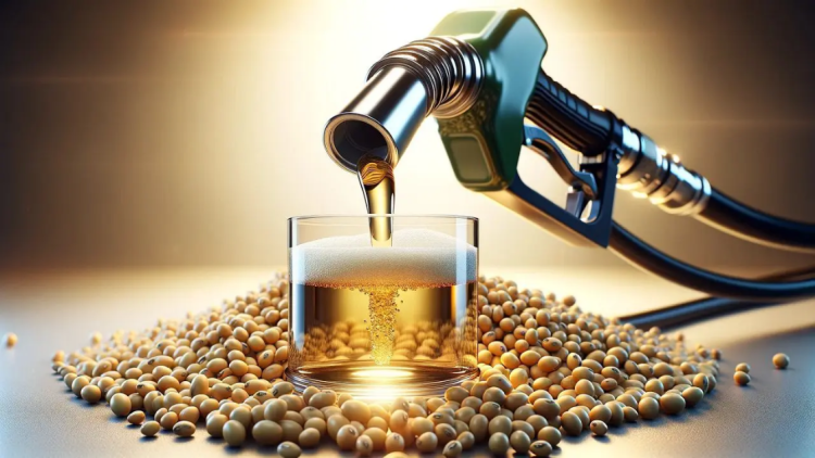 Mais soja para o diesel B25 (Foto: canalpecuarista.com.br