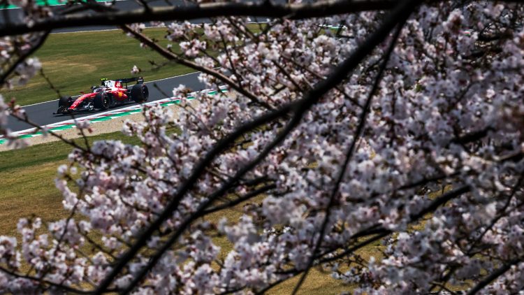 Cerejeira em flot e um Ferrari passsndo (Foto: FIA)