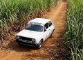 Propaganda do Fiat 147 a álcool (foto: divulgação Fiat)